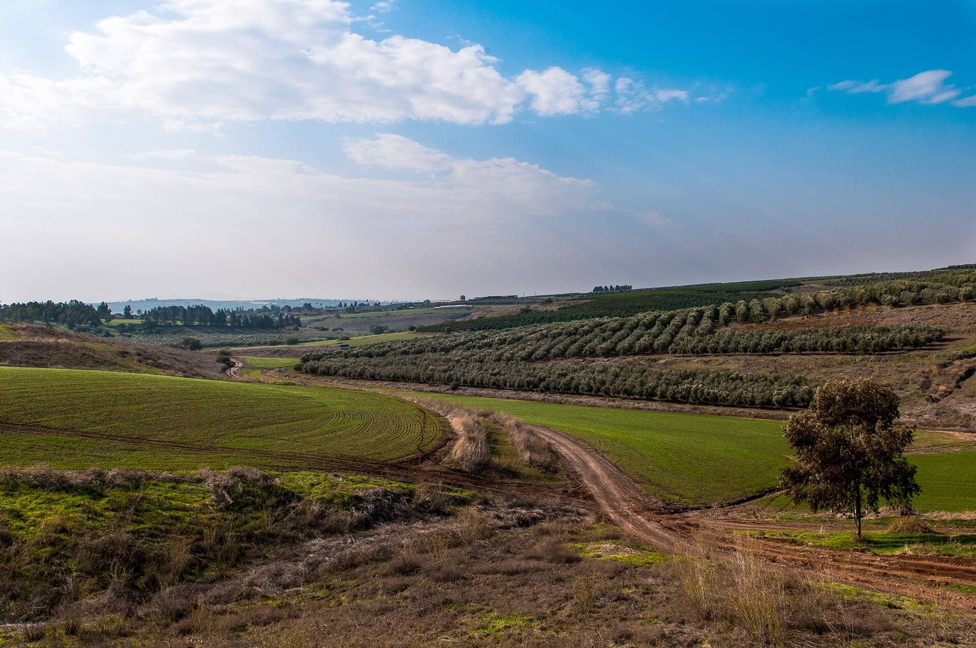 מרחב נשימה בעמק - טיפולים אלטנרנטיביים