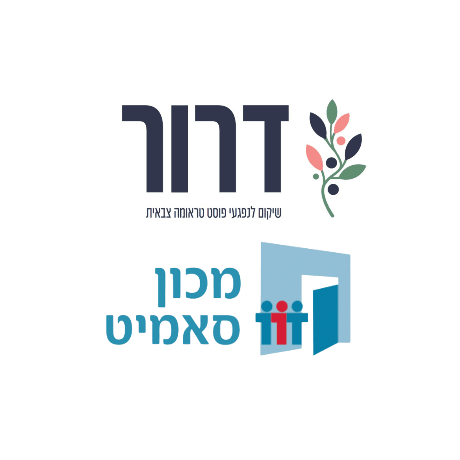 מכון סאמיט - תוכנית דרור