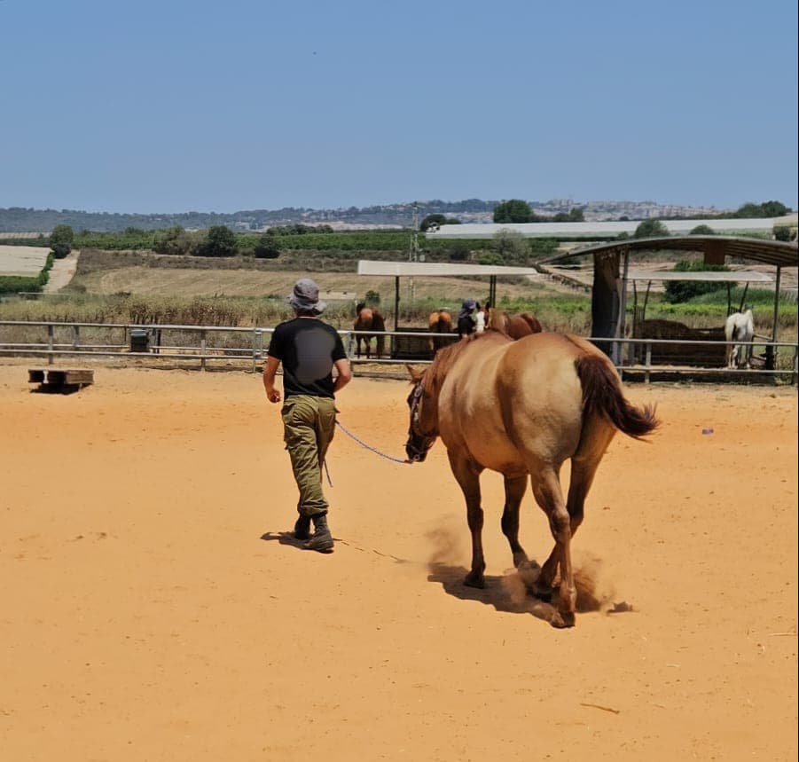 E&D Center - Horses Lead Change