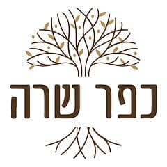 תכניות קבוצתיות - כפר שרה